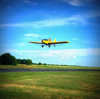 Yellow airplane midflight