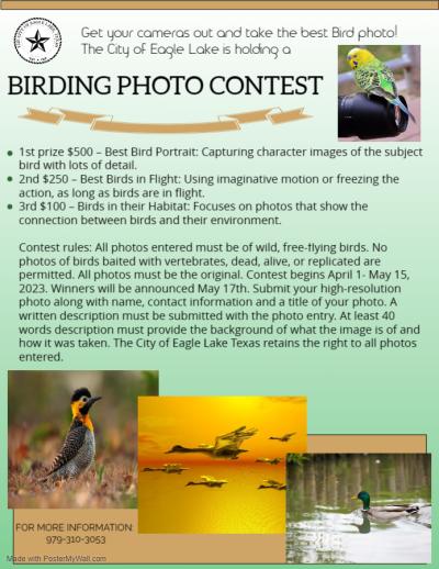 Birding Photo Contest