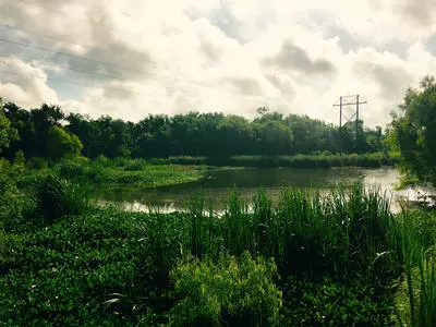 View of the Lake